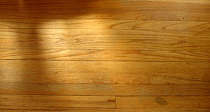 Tacoma Hardwood Install